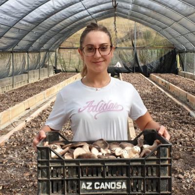 Lucania Funghi: Tradizione, Innovazione e Passione per i Funghi Cardoncelli